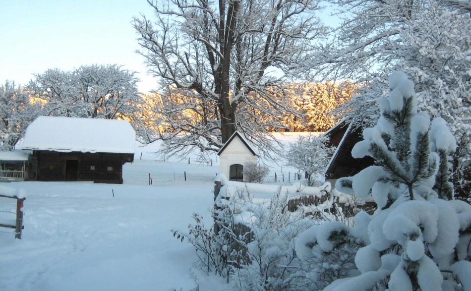 Winter am Froihof in Fischbach